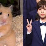 [프듀X] 아니 근데 <b>이협</b> 머리스타일은