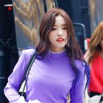 <b>여쿨</b> 라이트랑 뮤트의 차이점은 뭐야??