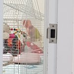 나 똥싸는데 <b>문틈</b>으로 앵무가 쳐다봐