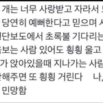 [댓글부탁해] 너무 사랑받고 자란 강아지들 <b>특징</b>
