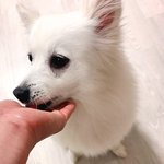 살면서 더 느끼는건데.