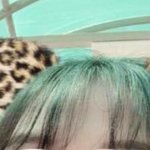 이 고양이<b>필터</b> 어디서 할수있어??ㅠㅜ