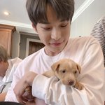 [NCT] 도영이가 노래하는 모습을 보면