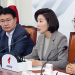 나경원 "윤석열 <b>총대</b>메고, 조국 조종하는 '석국열차' 완성"