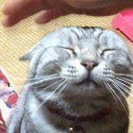 [조언부탁해] 나 <b>양성</b>애자 인건가 ?