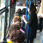 <b>임산</b>부석은 임산부가 앉아야되는거아님?