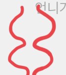 나이들스록 생리 양 적어지는거같음