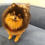 [댓글부탁해] 너네 핸드폰 중에