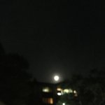 [댓글부탁해] 이거 내가 <b>예민</b>한거야?