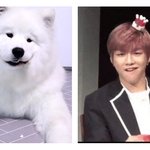 [강다니엘] 강다니엘 <b>표정</b> 댕댕이랑 존똑<b>이</b>얔ㅋㅋㅋㅋㅋㅋㅋ