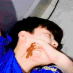 <b>진우</b> 개멋있어