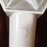 [EXO] 옥새<b>버튼</b>... 봤냐...