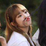 오리가 <b>예</b><b>나</b>인지 <b>예</b><b>나</b>가 오리인지