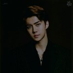 [세훈] 또리디봉 포토카드 <b>스캔</b>본