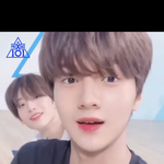 [프듀X] 본격 <b>조신</b>즈 영업