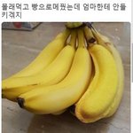 [드루와] 시험기간에 받은 <b>인상적</b>인 응원 뭐였어?