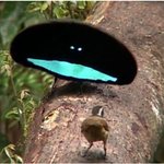 [19] 얘드라 <b>배드</b> 가이