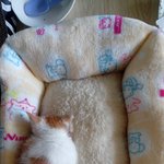 [댓글부탁해] 나 <b>도끼</b>병인지 봐주라!!!!!!!!!!!!!!!