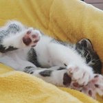 빛삭 <b>사진</b> <b>안</b> 올리면 <b>안</b> 되니? ㅠㅠ