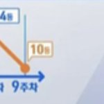 [프듀X] 손<b>동표</b> 순위 각 나왔다