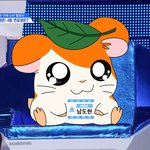 [프듀X] 남도현 존//나 좋다ㅋㅋㅋㅋ