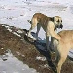 [조언부탁해] 내 꿈 못 <b>이룰</b>것 같다