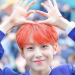 [프듀X] 아니 제발