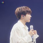 [방탄소년단] 호람<b>쥐</b>ㅠㅠㅠㅠ