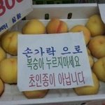 복숭아 누르지마세요