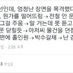 강아지상인데 고양이<b>상인</b> 사람 특징이 머야