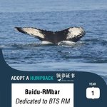 [방탄소년단] 큐티즈들 준이 생일 선물로 고래 <b>입양</b>함