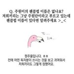 [BL] 주원이 팬클럽 이름 어쩔거야