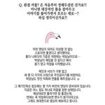 [BL] 이거 보면 럽오헤작가님