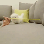[드루와] <b>베라</b> 존버탄다