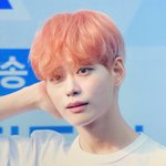 [프듀X] 이세진 염색