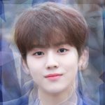 [프듀X] 유가릿 와꾸조합 좋다