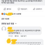 [개깊은빡침] 고양이가 <b>학대</b>당해 죽었다는 기사에 이딴 댓글