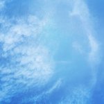 국뽕 한<b>사발</b>