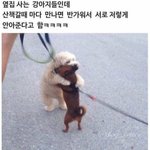 [댓글부탁해] 고1국어 <b>문법</b> 띄어쓰기 도와줘