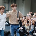 [댓글부탁해] <b>토이</b>푸들과 스탠다드 푸들...