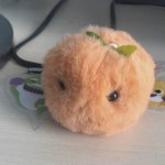 [프듀X] 선톡보내주세요ㅠㅠ)나 2년전에 <b>마리</b>몽 샀었는데