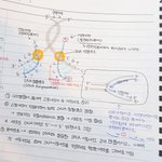 [사진ㅇ] 내 <b>글씨</b> ㅇㄸ