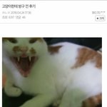 [드루와] 근데 우리학교 진짜 급떡<b>상</b>함