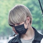 [TXT사진] 범규