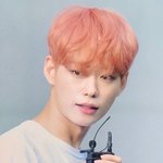 [프듀X] 오늘 이세진 <b>조카</b> 잘생겨서 한번 뽑아<b>줌</b>