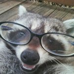 이잉 앗살라<b>마라이</b>쿰 안다 모른다 추반 ㄱㄱ