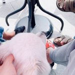 [방탄소년단] 취향 <b>소나무</b> 낮누