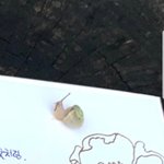 [NCT] 툥편지에 <b>달팽이</b>!!!!!