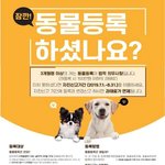 오늘부터 반려동물등록기간 의무화