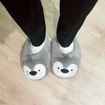 [TXT<b>사진</b>] 0701  태현짹